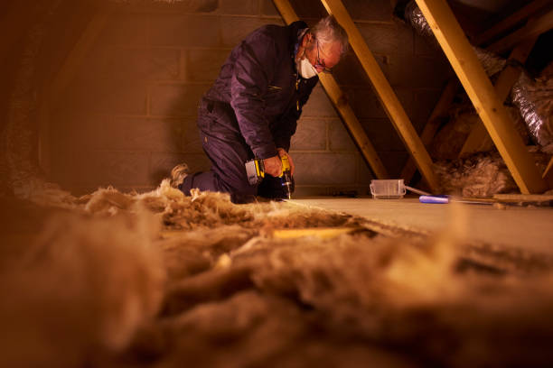 Best Insulation Maintenance and Repair in Dumont, NJ